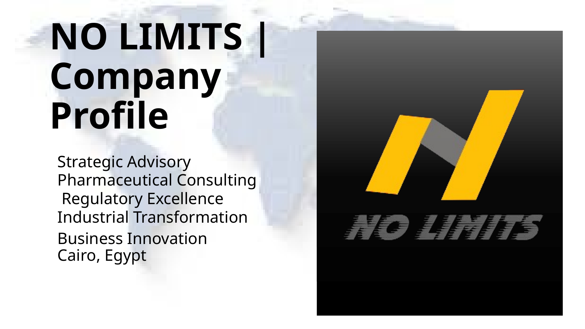 NO LIMITS Company Profile cover slide